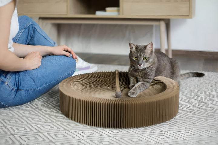 COZY REST FOR HAPPY PETS