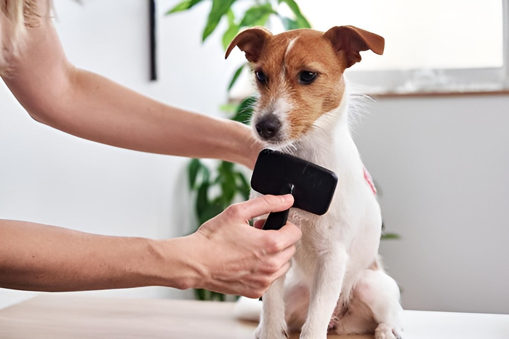 MAKING GROOMING FEEL SIMPLE