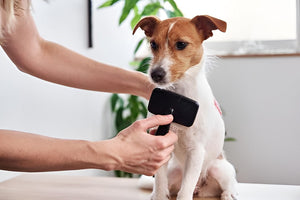 MAKING GROOMING FEEL SIMPLE