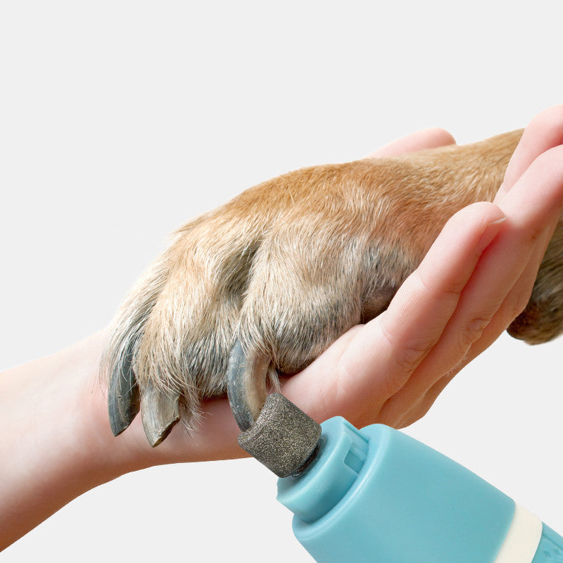Transform Your Pet Grooming Routine with Our Dual Purpose Machine